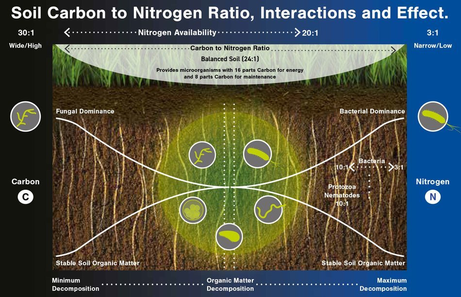 Carbon-to-Nitrogen Ratio